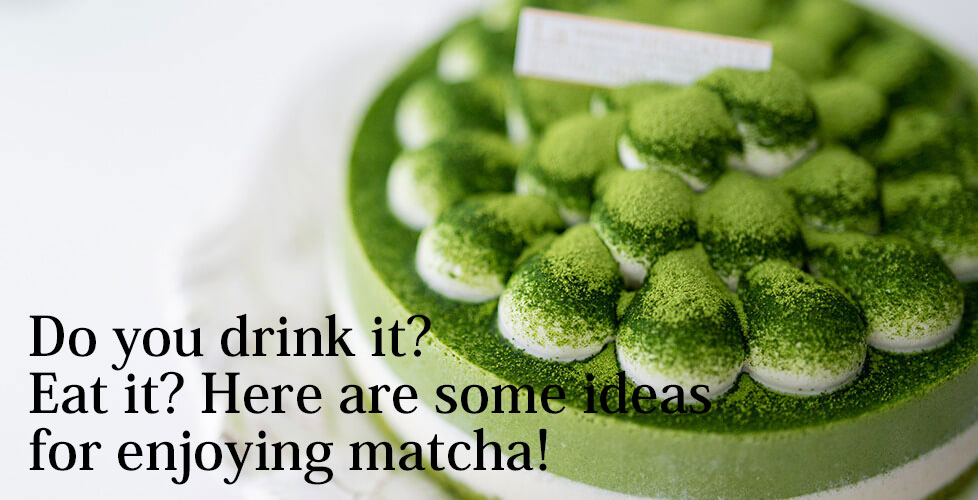 Here are some ideas for enjoying matcha!